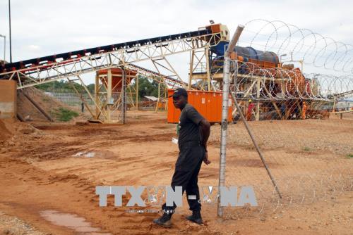 Zimbabwe triệu tập quan chức cấp cao về vụ thất thoát lượng kim cương trị giá 15 tỷ USD ảnh 1